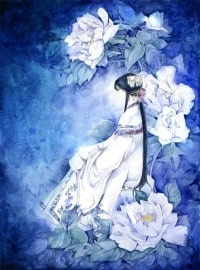 武踏星河